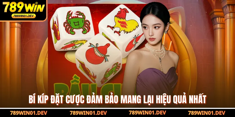 Bí kíp đặt cược đảm bảo mang lại hiệu quả nhất